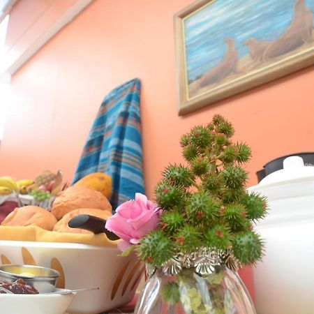 Hostal La Posada De Jose Carlos Пуэрто-Бакерисо-Морено Экстерьер фото